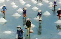ĐAI LÝ VÉ MÁY BAY TẠI QUẢNG NGÃI